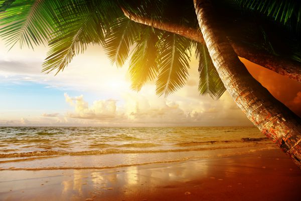 طلوع خورشید در ساحل دریای کارائیب
