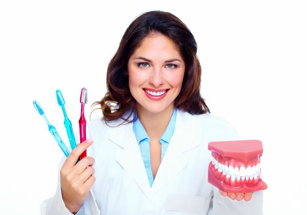 زن دندانپزشک با مدل دندان کلینیک بهداشت و درمان دندان