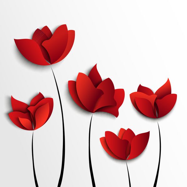 پنج گل کاغذی قرمز در زمینه سفید