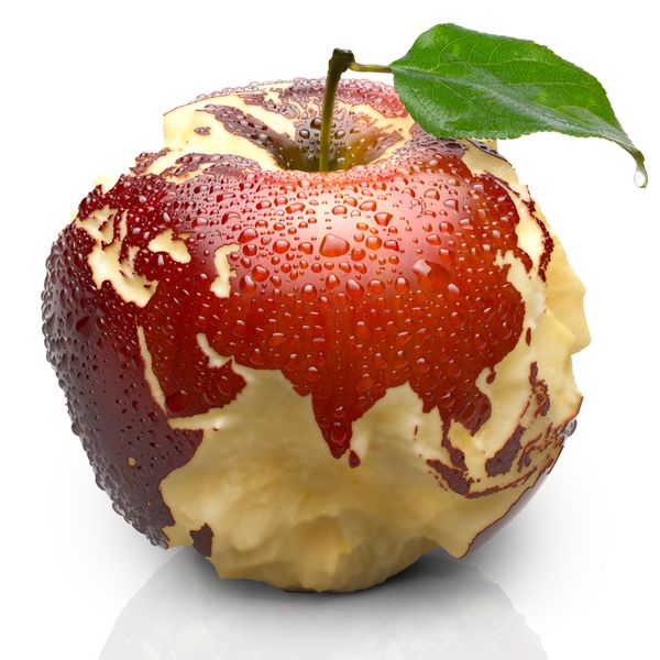 سیب سرخ رسیده خمیر آبدار آن اقیانوس ها را عمیقا کنده کاری کرده است پوست سیب به شکل دقیق قاره ها با قطرات آب پوشیده شده است جدا شده بر روی پس زمینه سفید