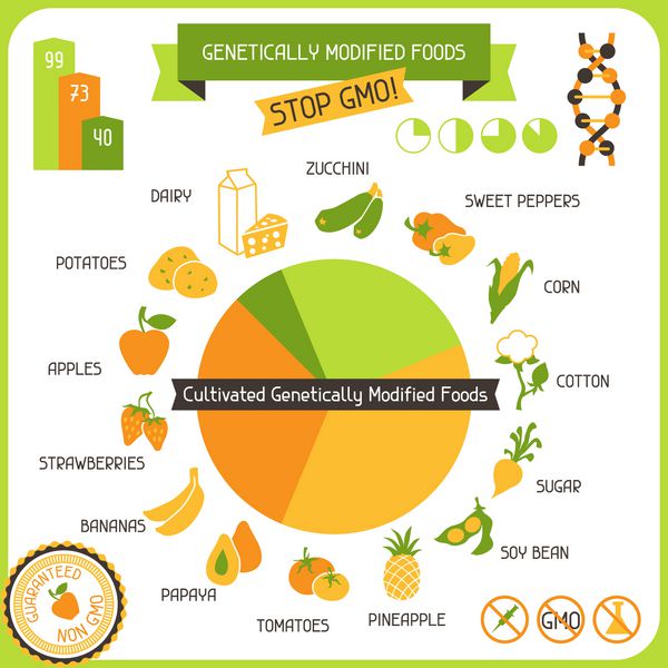 پوستر اطلاعاتی غذاهای اصلاح شده ژنتیکی
