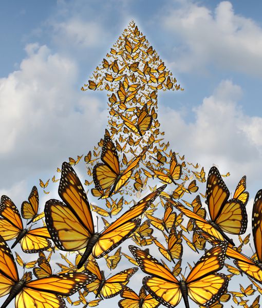 برای موفقیت مفهوم کسب و کار با پروانه های پادشاهی که در اتحادیه بزرگ یک مشارکت سازمان یافته پرواز می کنند و فلشی را تشکیل می دهند که به عنوان نمادی از همبستگی و فرصت کارمندان بالا می رود