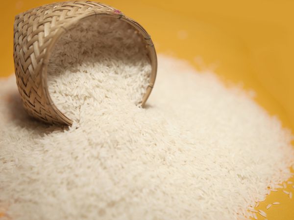 برنج تایلندی مواد ارگانیک برای تهیه نان با طلوع طلایی در پس زمینه عکس استوک