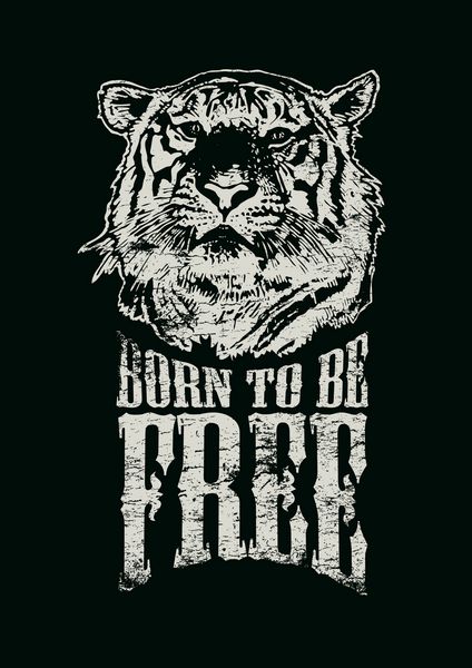 طراحی رترو Born To Be Free برای چاپ پوستر یا تی شرت با سر ببر و فونت های قدیمی وکتور افکت گرانج در لایه جداگانه