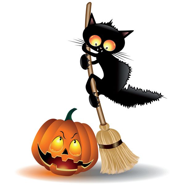 کارتون گربه هالووین روی جادوگر