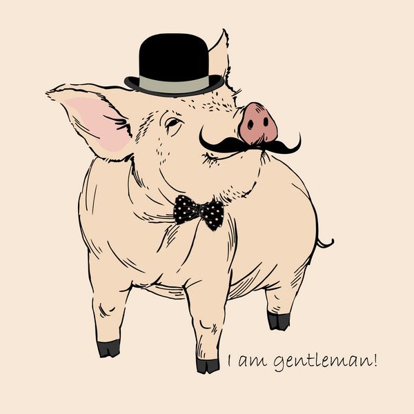 جنتلمن خوک ناز با کلاه و سبیل پیگی هیپستر نگاه رترو وکتور