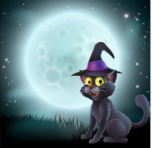 تصویر گربه جادوگر هالووین با کلاه نوک تیز در مقابل ماه کامل بزرگ در یک شب مه آلود