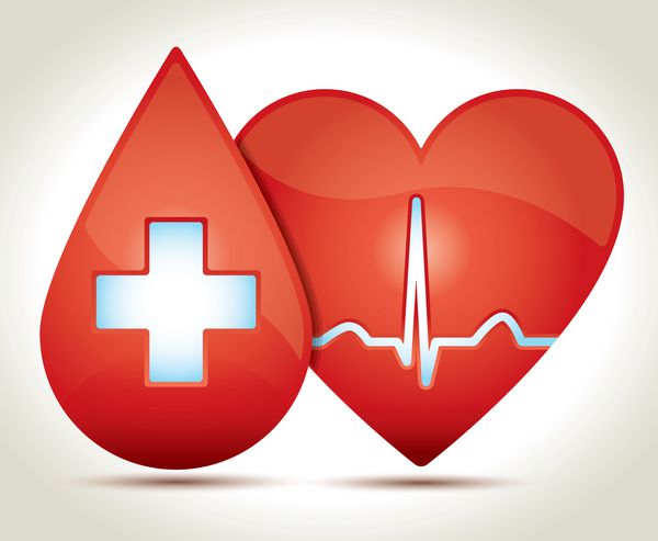 قلب قرمز براق با ریتم سینوسی EKG طبیعی و قطره خون ضربدر سفید