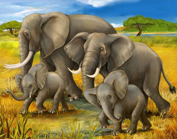 سافاری - فیل ها - تصویرسازی برای کودکان