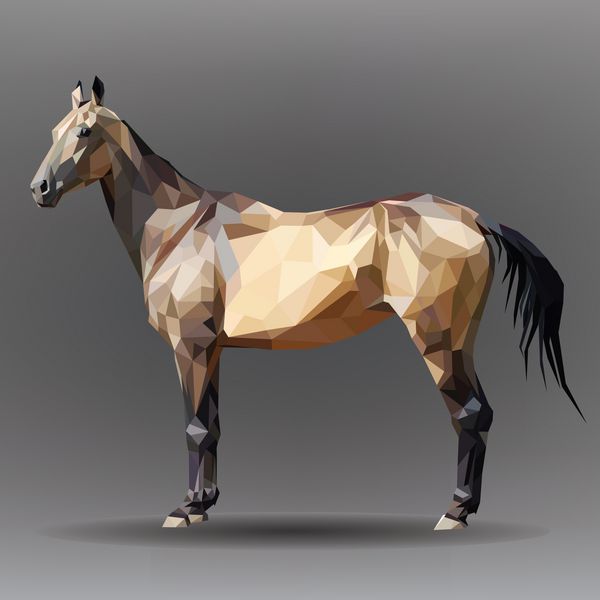اسب جدا شده در پس زمینه خاکستری