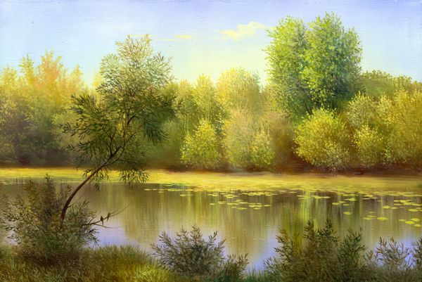دریاچه چوبی بهاری با درختان و بوته ها