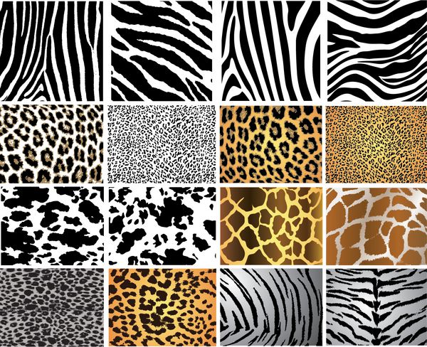 بسته وکتور پوست حیوانات با جزئیات بسیار - 16 الگوی مختلف