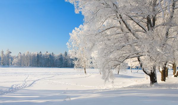 پارک زمستانی در برف
