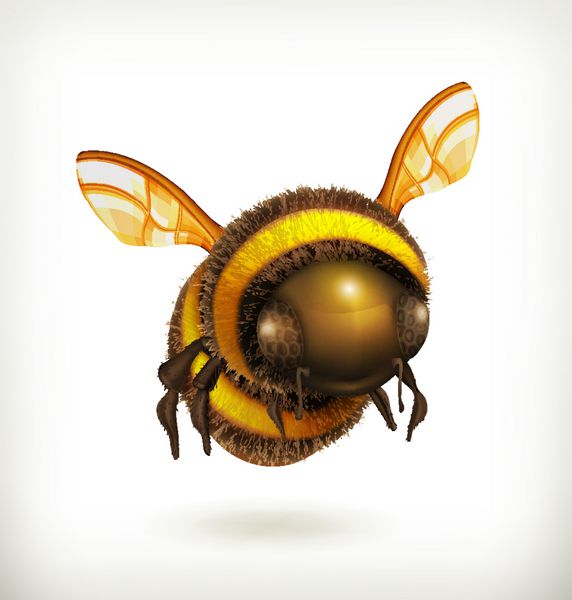 نماد وکتور زنبور عسل