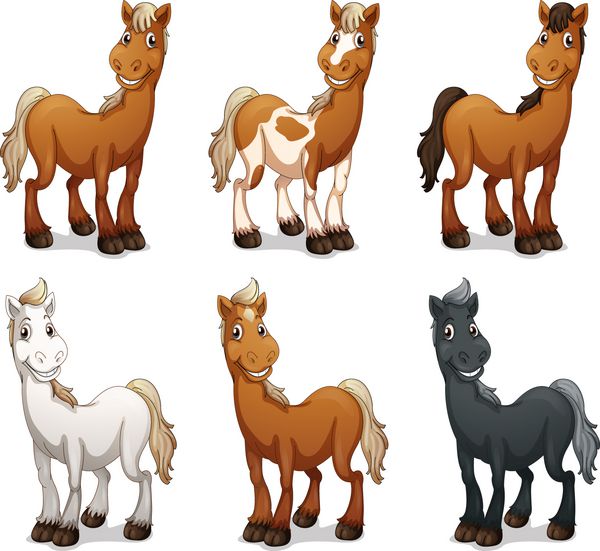 تصویری از شش اسب خندان در پس زمینه سفید