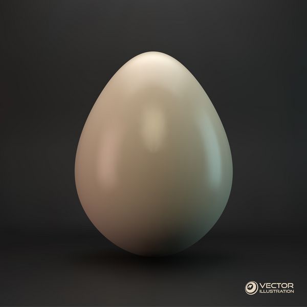 تخم مرغ وکتور