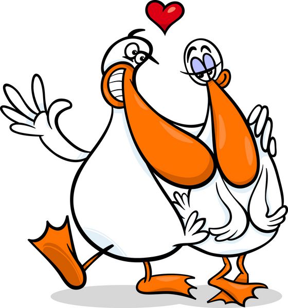 تصویر وکتور کارتونی روز ولنتاین از زوج عاشق اردک بامزه