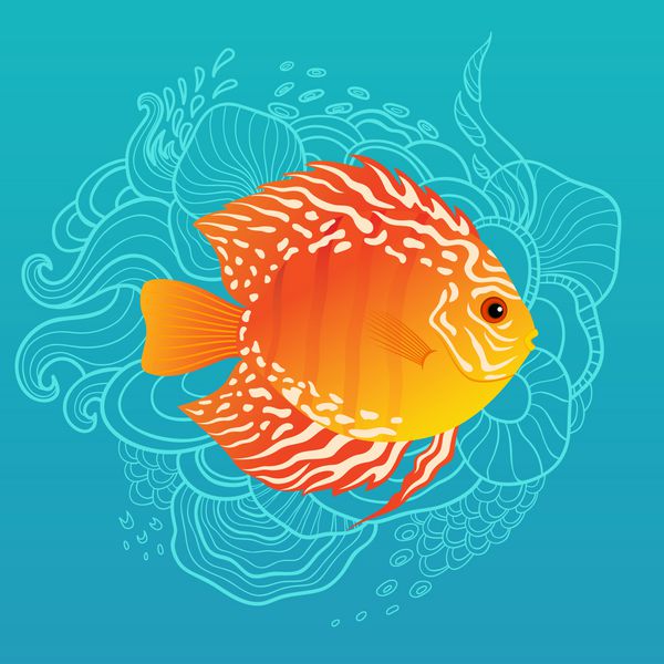 ماهی گرمسیری در پس‌زمینه آبی رنگ