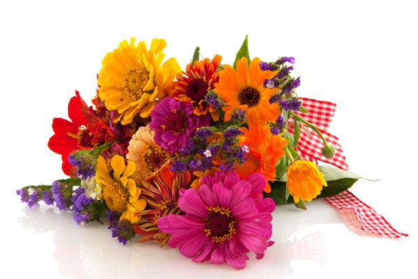 انواع گل های تابستانی رنگارنگ در دسته گل با روبان