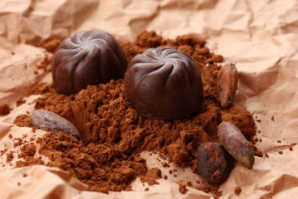 ترکیب شیرینی شکلاتی و کاکائو در زمینه قهوه ای