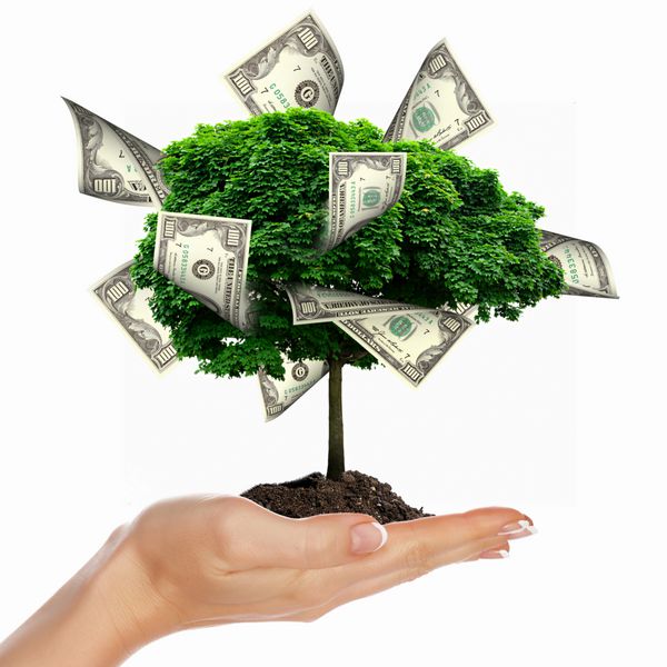 درخت پول با بریدگی روی دست مرد نماد موفقیت مالی