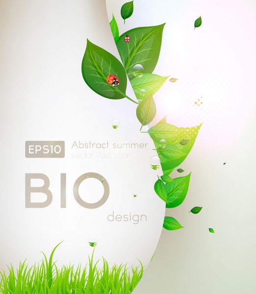 طرح مفهومی زیستی سازگار با محیط زیست برای بنر گل تابستانی