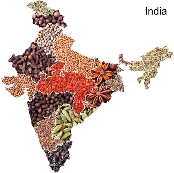 نقشه سیاسی هند با ادویه جات و گیاهان در پس زمینه سفید