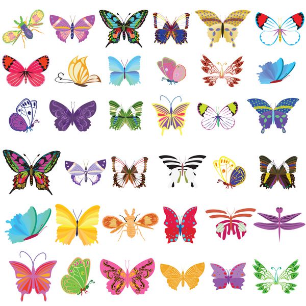 مجموعه ای از پروانه ها