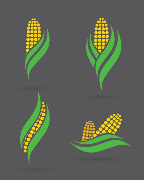 نمادهای ذرت - وکتور