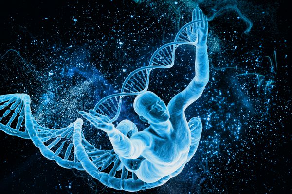 مولکول های DNA و انسان
