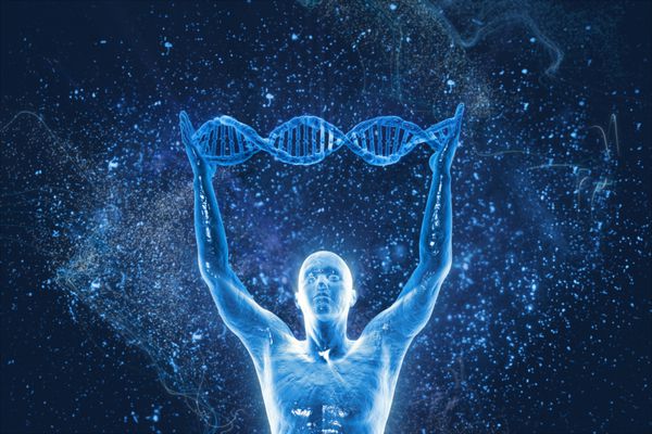 مولکول های DNA و مردان