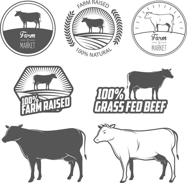 مجموعه ای از برچسب های گوشت گاو ممتاز نشان ها و عناصر طراحی
