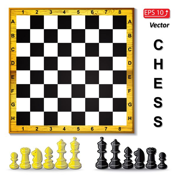 ست تخته شطرنج مهره های شطرنج سیاه و سفید فیگور شطرنج شاه وکتور ملکه اسقف شوالیه پیاده رخ جدا شده در پس زمینه سفید