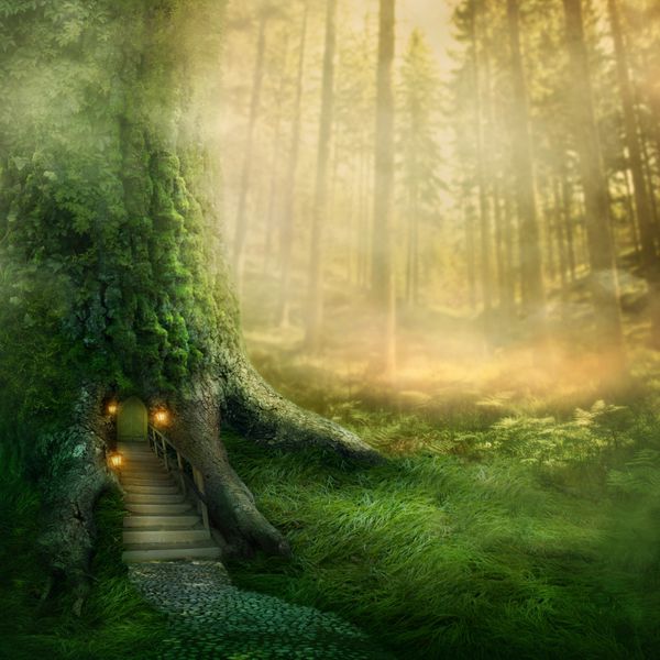 خانه درختی فانتزی در جنگل