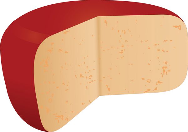پنیر سر در نوار قرمز وکتور