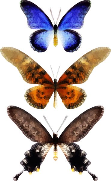 مجموعه وکتور پروانه های استوایی در زمینه سفید سبک هندسی مثلثی