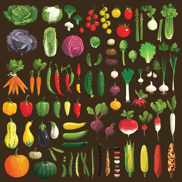 مجموعه ای عالی از سبزیجات کلیپ آرت