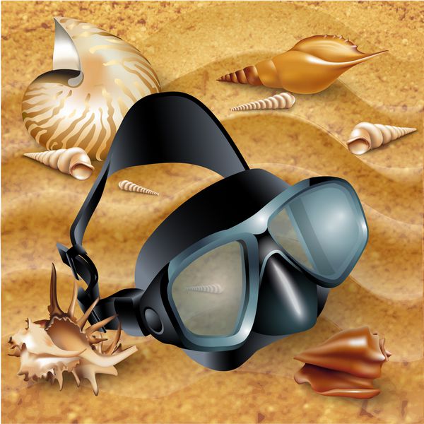 مجموعه ای از ماسک غواصی و صدف های دریایی جدا شده بر روی پس زمینه شن و ماسه