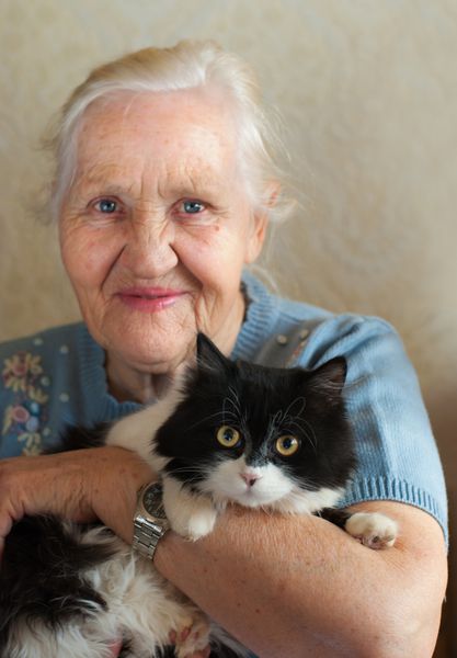 خندان زن مسن شاد با گربه اش تمرکز انتخابی روی گربه