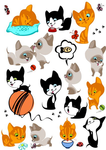 مجموعه کاملی از بچه گربه های شاد مختلف مشابه در نمونه کارها