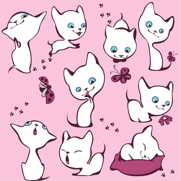 مجموعه ای از بچه گربه های سفید بردار