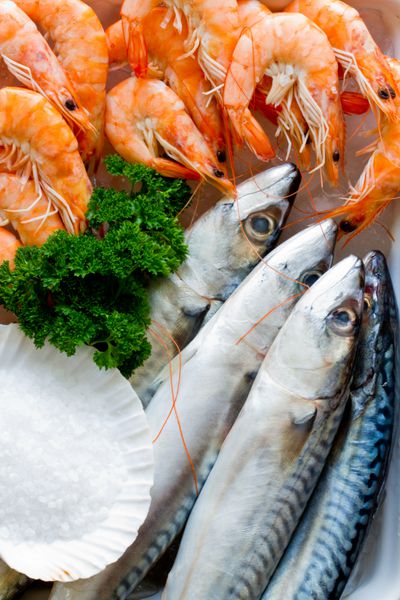 غذاهای دریایی ماهی - ماهی خال مخالی تازه و میگو در آشپزی