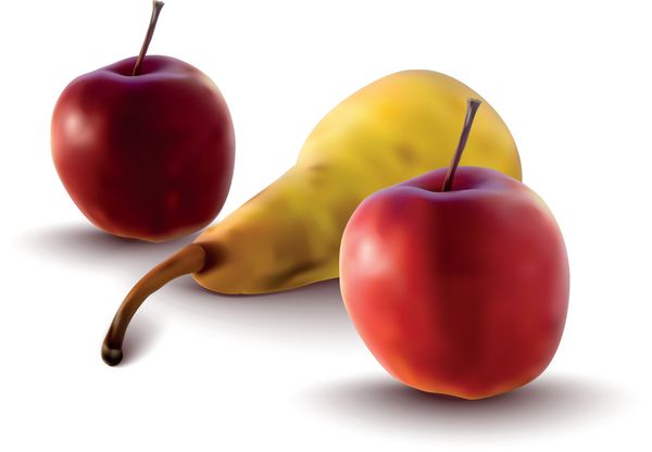 تصویر واقعی از سیب و گلابی - وکتور