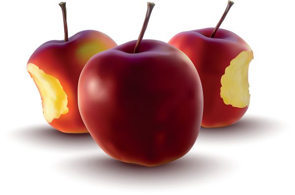 تصویر واقعی از سیب های قرمز - وکتور