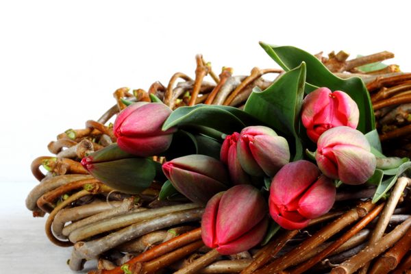 دسته گل لاله بنفش در تاج گل - گل های بهاری برای روز مادر