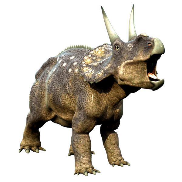 غرش diceratops