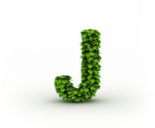 حرف J الفبای برگ های سبز جدا شده در زمینه سفید