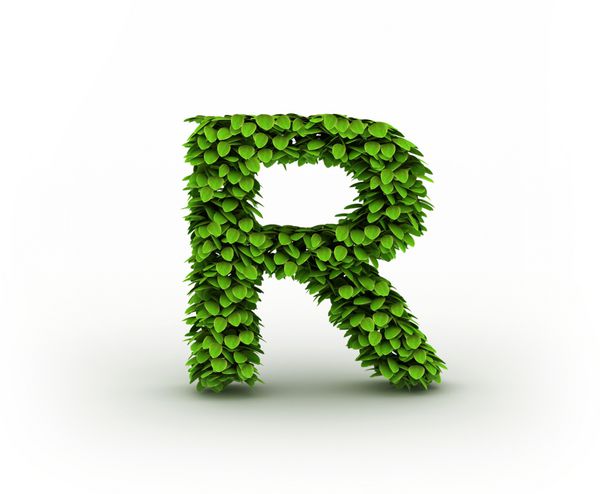 حرف R الفبای برگ های سبز جدا شده در پس زمینه سفید