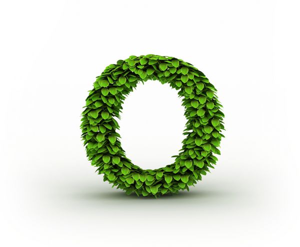 حرف O الفبای برگ های سبز جدا شده در پس زمینه سفید