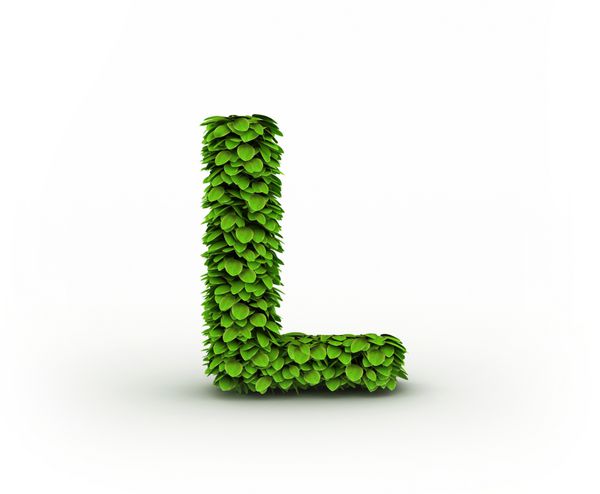 حرف L الفبای برگ های سبز جدا شده در زمینه سفید